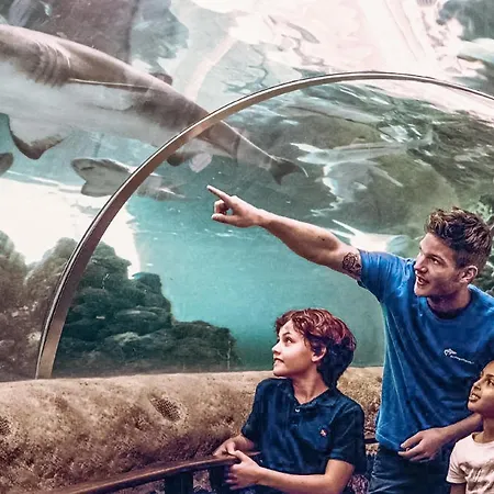 Beautiful In With Kitchen 度假居 格雷诺