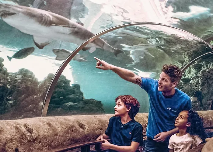 Beautiful In With Kitchen 度假居 格雷诺